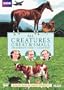 All Creatures Great and Small: Series 1