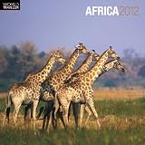 Africa 2012 Square 12X12 Wall Calendar