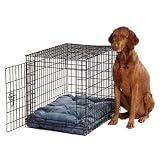 Tufted Dog Cushion in Platinum Fabrics Size: Medium Fabric: Microvelvet Smoke