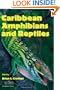 Caribbean Amphibians and Reptiles