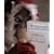 Terry Pratchett's Hogfather: The Illustrated Screenplay (Gollancz S.F.)