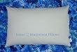 Organic Buckwheat Pillow - Japanese Size (14" x 20")