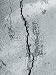 Wallmonkeys Peel and Stick Wall Decals - Asphalt - Removable Graphic