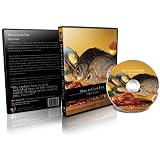 HowtoCookFish