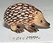 Little Critterz Hedgehog Tiggy - Multicolor Collectible Home Decor Animal Miniature Porcelain Figurine