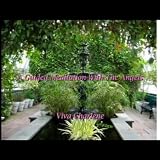 Viva Charlene Guided Meditation With the Angels