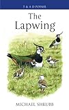 The lapwing