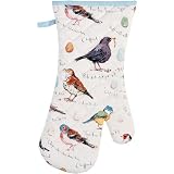 Birdsong Oven Gauntlet