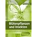 Bl�tenpflanzen und Insekten: Stationenlernen in der Sekundarstufe 1mit L�sungen
