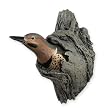 Northern Flicker - Backyard Songbirds