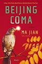 Beijing Coma: A Novel