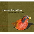 In The Middle Of Now, Here by Hammer Down Man