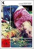 Produkt-Bild: A Hole in My Heart