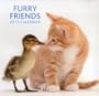 2013 Calendar: Furry Friends: 12-month calendar featuring wonderful photography and plenty of space to write in key events