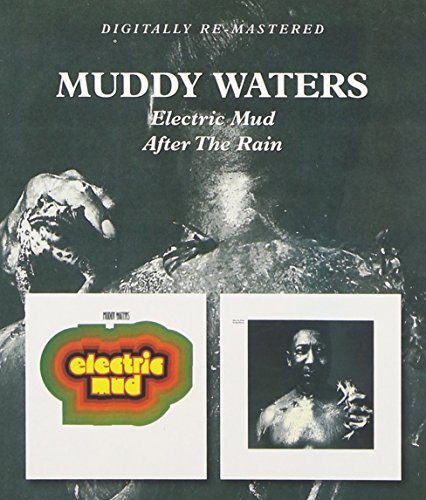 Muddy Waters - I Am The Blues Lyrics - Zortam Music