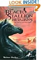 The Black Stallion Returns