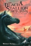 The Black Stallion Returns