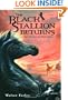 The Black Stallion Returns