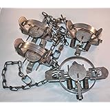 Coil Spring Animal Trap (Pack of 4)