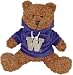 Washington Huskies NCAA Hoodie Bears