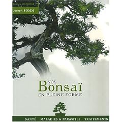 Vos Bonsa� en pleine forme