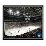 NHL Toronto Maple Leafs Arena 22x28 Canvas Art