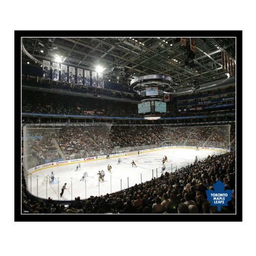 NHL Toronto Maple Leafs Arena 22x28 Canvas Art