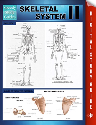 Skeletal System II (Speedy Study Guides)