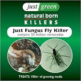 FUNGUSFLY KILLER - LARGE PACK 100sqm