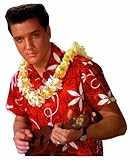 500 Piece Shaped Puzzle Elvis- Blue Hawaii