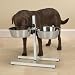 2 Quart - White - ProSelect Adjustable White Dog Diners