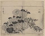 IMAGE OF Reprint Blossoms from two kinds of hydrangea 1755