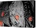 Rawlings In Red Canvas Print / Canvas Art - Artist Jame Hayes
