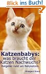 Katzenbabys: was braucht der Katzen N...