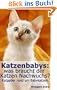 Katzenbabys: was braucht der Katzen Nachwuchs?