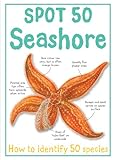 Spot 50 seashore
