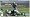 Madden NFL 09 (Xbox 360)