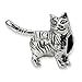 Sterling Silver Reflection Beads Collection American Shorthair Bead Charm 4mm Hole (fits 3mm European Style Charm Bracelets)
