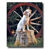 Pointer Puppy Dog In Wagon Kids Room Animal Picture Art Print