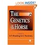 The Genetics of the Horse