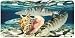 Bones and Conch - Art Print - License Plate Tag By Don Ray From Airstrike