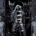 Goatreich-Fleshcult/Ltd./Ausverkauft von Belphegor - alle Infos