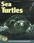 Sea Turtles (Early Bird Nature Books)