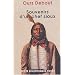 Souvenirs d'un chef sioux