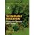 Sustainable Education: Revisioning Learning and Change (Schumacher Briefings)