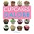 Cupcakes Galore
