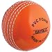 Gray-Nicolls Wonderball 5.5 Ounce Cricket Practice Ball