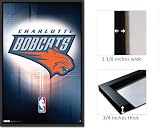 Framed Charlotte Bobcats Logo Poster 5414