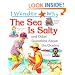 I Wonder Why the Sea is Salty: And Other Questions About the Oceans (I wonder why series)