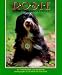 Rosie: A Visiting Dog's Story
